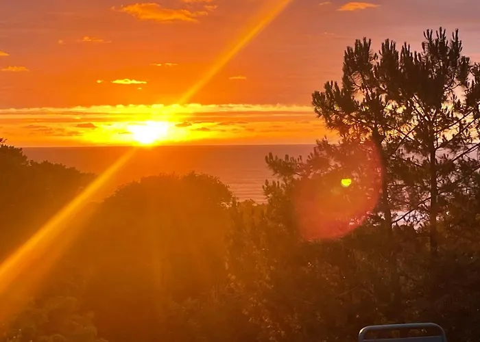 Denise * Bidart